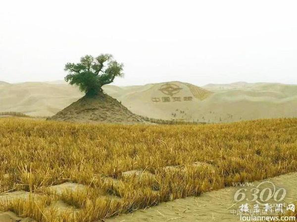 施工現(xiàn)場(chǎng)